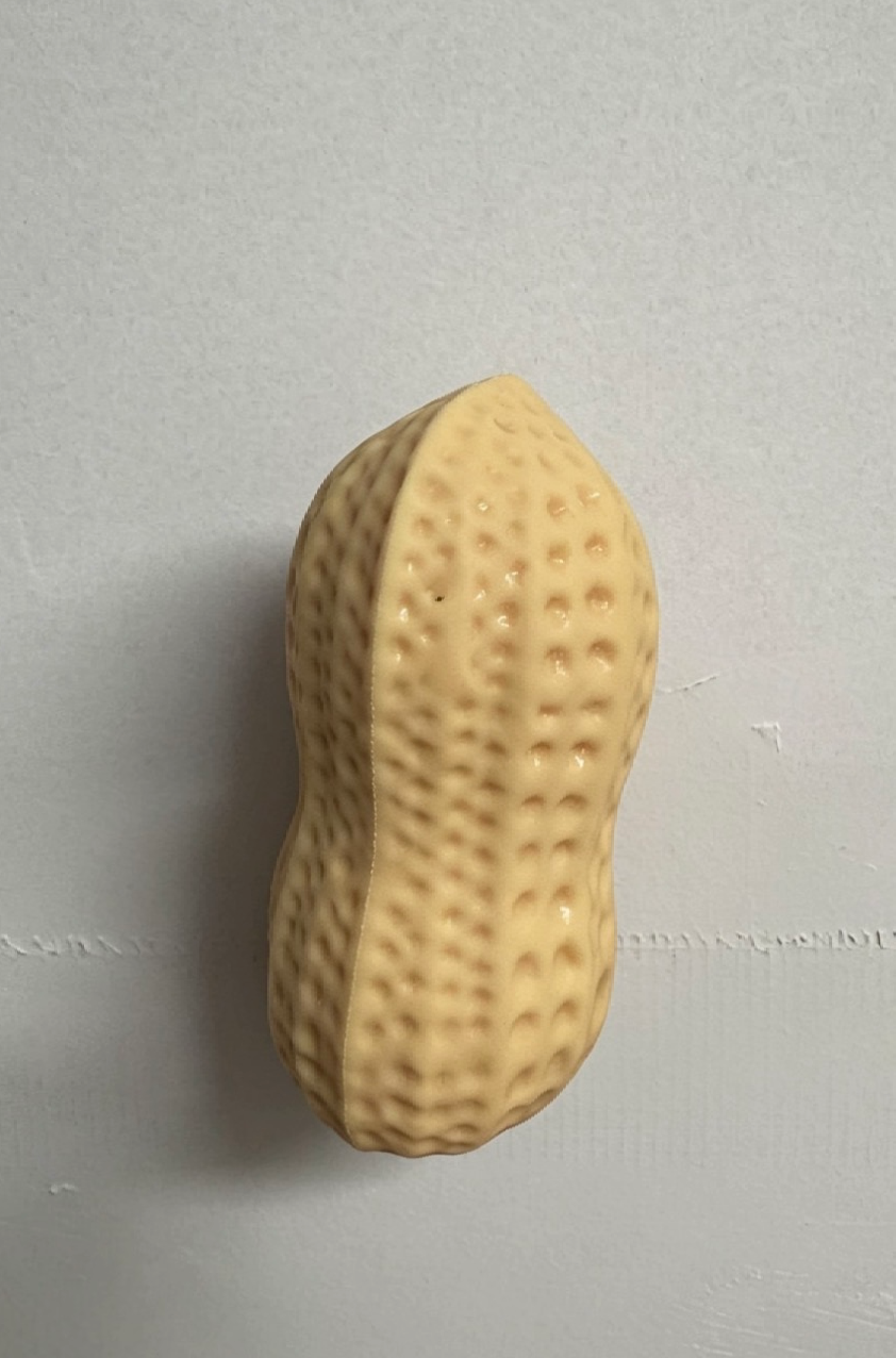 peanut squishy